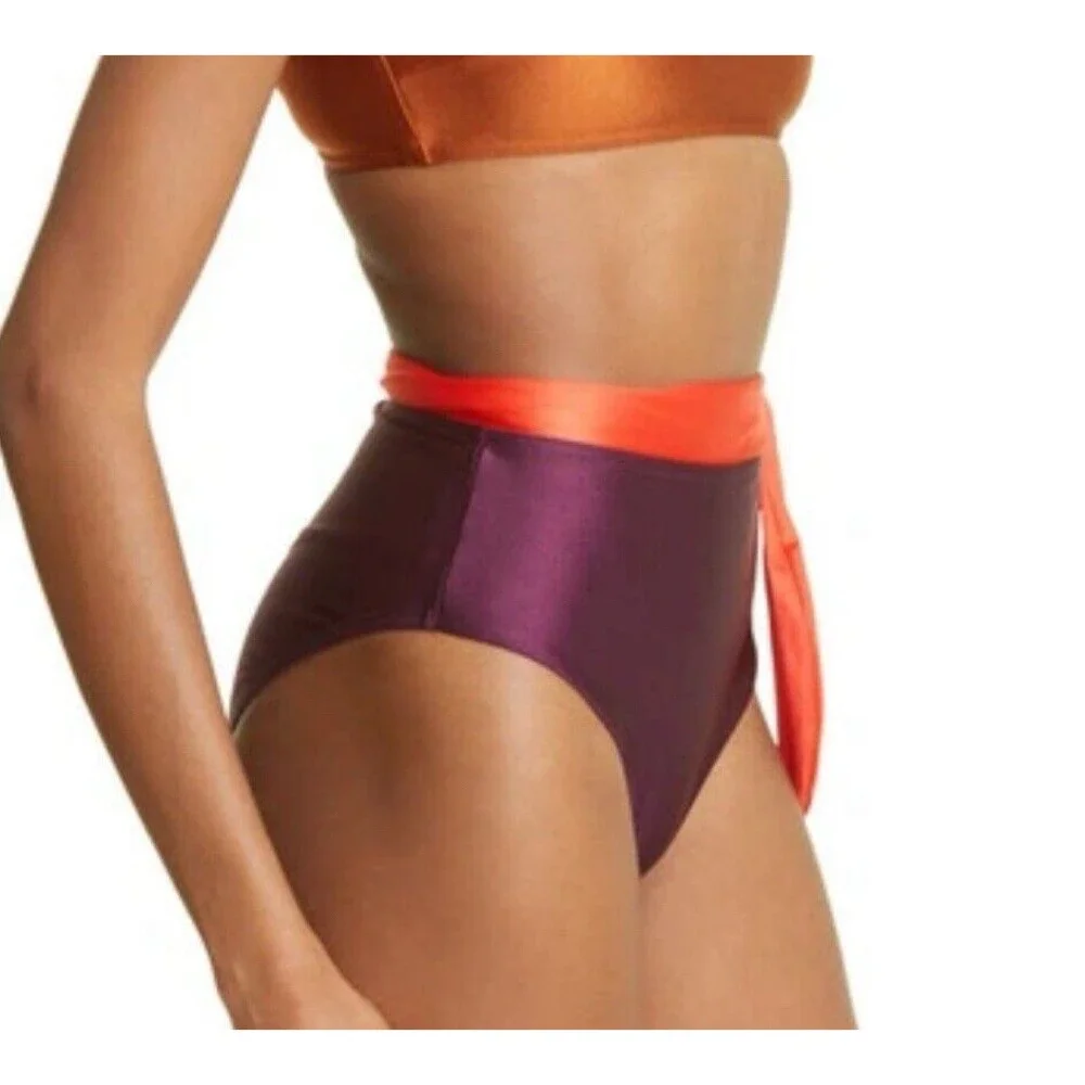Zimmermann Violet ColorBlock Bikini Bottom